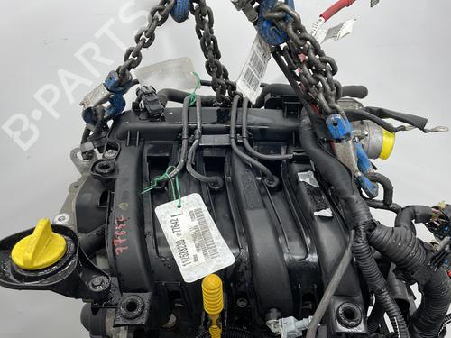 Engine RENAULT TWINGO II (CN0_) 1.2 16V (CN04, CN0B) | BP29320429M1 