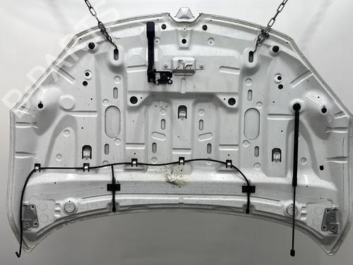 Hood RENAULT MEGANE III Coupe (DZ0/1_) 1.9 dCi (DZ0N, DZ0J, DZ1J, DZ1K) | BP29514082C1 