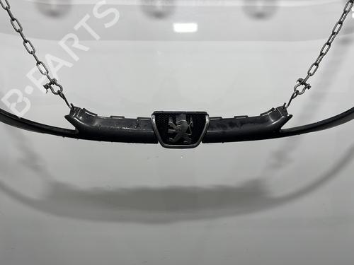 Grill PEUGEOT 206 Hatchback (2A/C) 1.1 i (60 hp) 28413866
