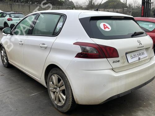 Rubber door seal PEUGEOT 308 II (LB_, LP_, LW_, LH_, L3_) 1.5 BlueHDI 100 | BP20396838C142 