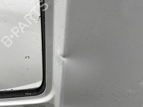 Left front door RENAULT TRAFIC Van (T_, P_, V_) 2.1 D | BP30720479C2