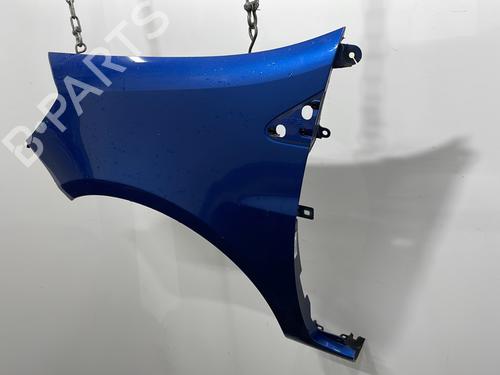 Left front fenders RENAULT CLIO III (BR0/1, CR0/1) 1.5 dCi (BR17, CR17) | BP29928462C41