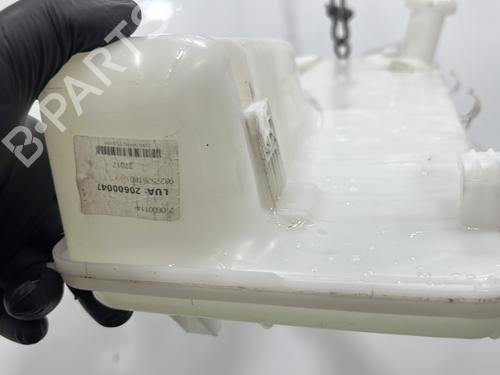 Sprinklertank CITROËN JUMPY III Van (V_) 2.0 BlueHDi 145 | BP30115704C113  - Image 6