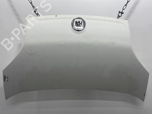 Motorhjelm FIAT QUBO (225_) 1.3 D Multijet (225CXB1A, 225AXB1A, 225CXB11, 225AXB11,... (75 hp) 31932339