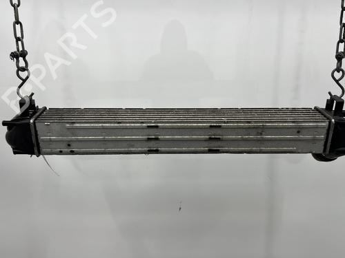 Used Intercooler Intercooler RENAULT MEGANE III Hatchback (BZ0/1_, B3_) 1.5 dCi (86 hp) 24116244 24116244