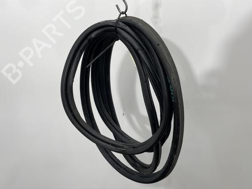 Rubber door seal RENAULT LAGUNA II (BG0/1_) 1.8 16V (BG04, BG0B, BG0C, BG0V) | BP29976648C142