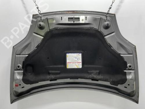 Hood FIAT BRAVO II (198_) 1.6 D Multijet (198AXM1B) | BP20388180C1
