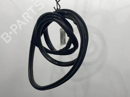 Gummiliste Gummiliste BMW 1 Coupe (E82) 123 d (204 hp) 22607259 22607259