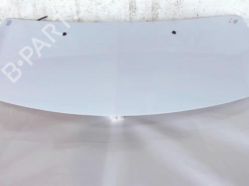 Used Hood RENAULT CLIO III (BR0/1, CR0/1) 1.5 dCi (88 hp) 20466544