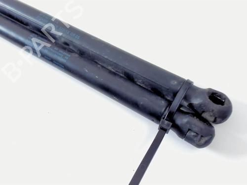 Tailgate lift support SEAT ALTEA (5P1) 1.9 TDI | BP20469193C138 