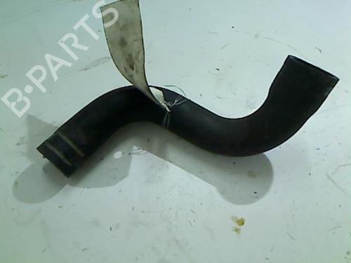 Rør FIAT GRANDE PUNTO (199_) 1.3 D Multijet (199.AXD11, 199.AXD1A, 199.AXD1B,... (90 hp) 20408472