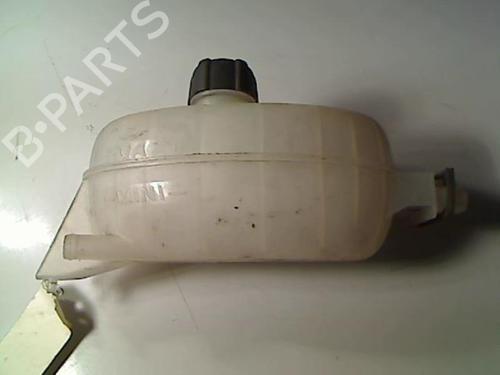 Expansion tank NISSAN PRIMASTAR Van (X83) 2.5 dCi 140 | BP20476416C120 