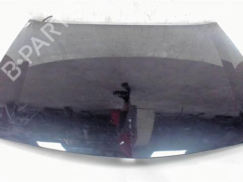 Hood RENAULT LAGUNA II Grandtour (KG0/1_) 2.0 dCi (KG1T) | BP20412588C1 