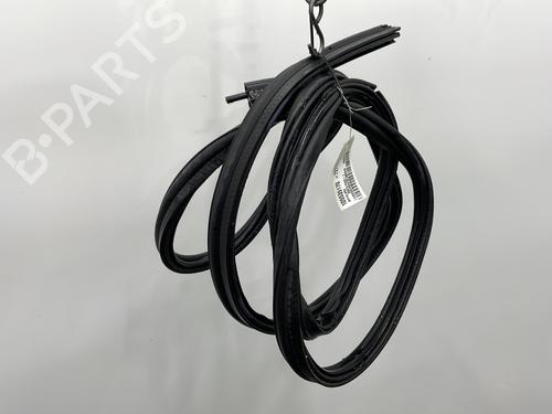 rubber-door-seal-renault-koleos-i-hy_-2008-25748045 main image