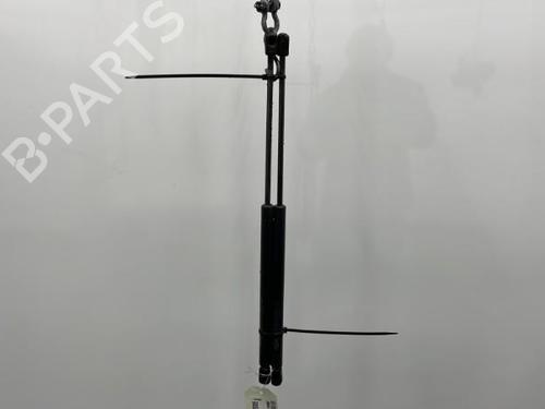 Tailgate lift support OPEL ZAFIRA / ZAFIRA FAMILY B (A05) 1.9 CDTI (M75) | BP20463654C138 
