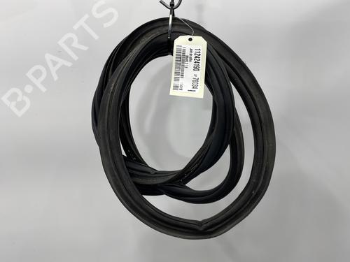 Used Rubber door seal FIAT BRAVO II (198_) 1.9 D Multijet (198AXC1B) (150 hp) 29338371