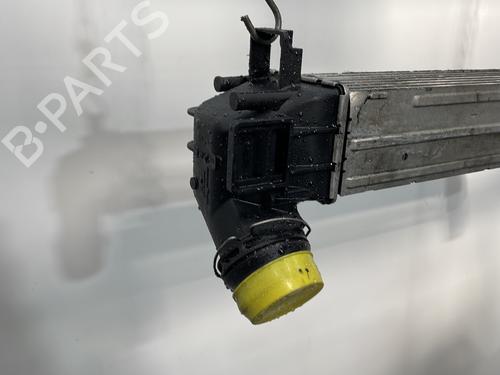Intercooler RENAULT SCÉNIC III (JZ0/1_) 1.9 dCi (JZ0J, JZ1J, JZ1K, JZ1S) | BP30602793M30