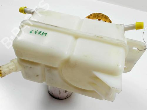 Used Expansion tank CHEVROLET AVEO / KALOS Hatchback (T250, T255) 1.2 (72 hp) 20465429