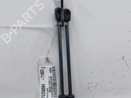 Tailgate lift support RENAULT MEGANE II (BM0/1_, CM0/1_) 1.5 dCi (BM1E, CM1E) | BP20405211C138 