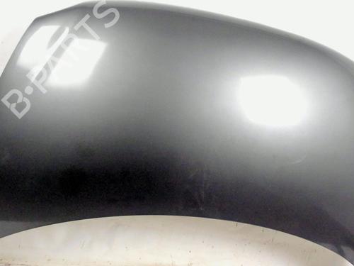 Hood FIAT MULTIPLA (186_) 1.9 JTD 115 | BP20391260C1 