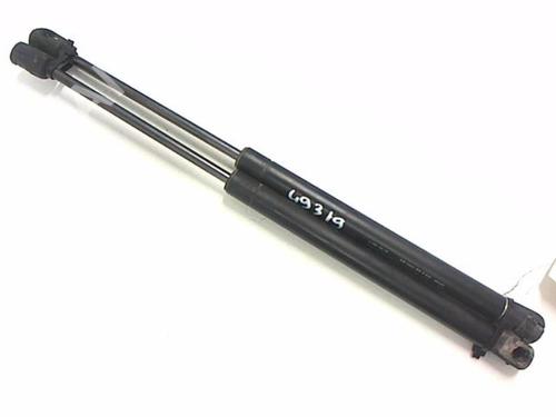 Used Tailgate lift support CHEVROLET AVEO / KALOS Hatchback (T250, T255) 1.2 LPG (84 hp) 20416478