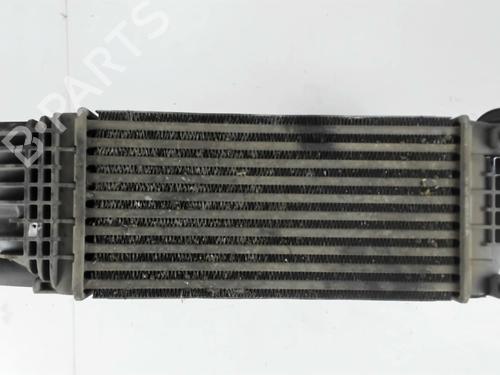 Used Intercooler Intercooler CITROËN C5 III (RD_) 2.0 HDi 140 (RDRHF8, RDRHFA, RDRHA8, RDRHAJ) (140 hp) 27838323 27838323