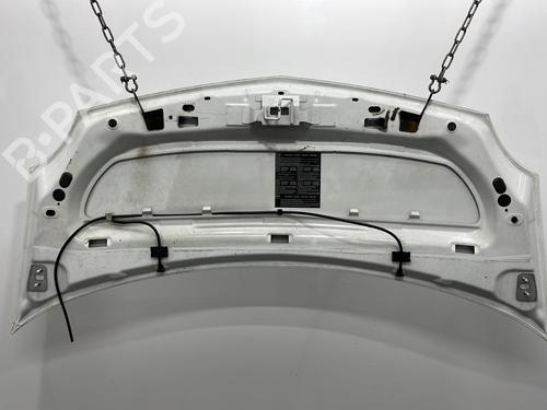 Hood RENAULT KANGOO Express (FW0/1_) 1.5 dCi 85 (FW0K, FW0L, FW0B) | BP24229604C1 