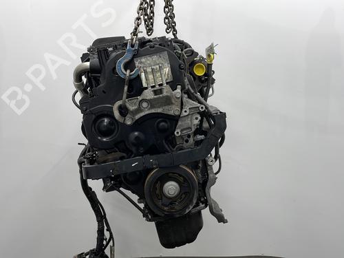 Engine FORD FIESTA VI (CB1, CCN) 1.4 TDCi | BP25586637M1 