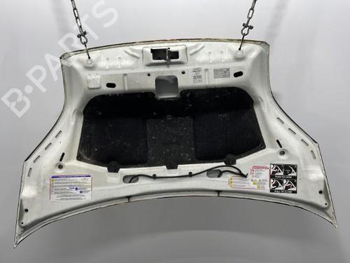 Hood FIAT FIORINO Box Body/MPV (225_) 1.3 D Multijet (225BXD1A, 225BXB1A, 225BXB11) | BP20393711C1 