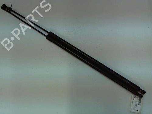 Used Tailgate lift support RENAULT KANGOO / GRAND KANGOO II (KW0/1_) 1.5 dCi 90 (KW05, KW08, KW0G, KW11) (90 hp) 20412312
