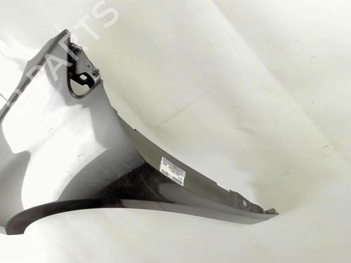 Used Left front fenders RENAULT LAGUNA III (BT0/1) 2.0 dCi (BT01, BT08, BT09, BT0E, BT0K, BT12, BT1C, BT1D,... (150 hp) 20447742