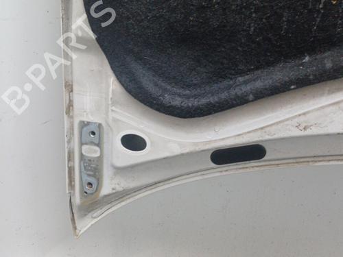 Capot Capot VW GOLF IV (1J1) 1.9 TDI (101 hp) 22102407 22102407