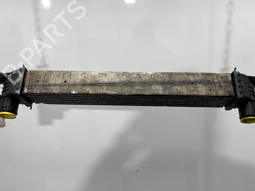 Intercooler FIAT QUBO (225_) 1.3 D Multijet (225CXB1A, 225AXB1A, 225CXB11, 225AXB11,... (75 hp) 31956228