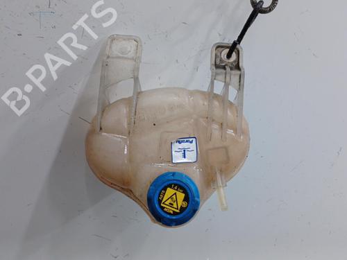 Used Expansion tank FIAT GRANDE PUNTO (199_) 1.3 D Multijet (75 hp) 20405830