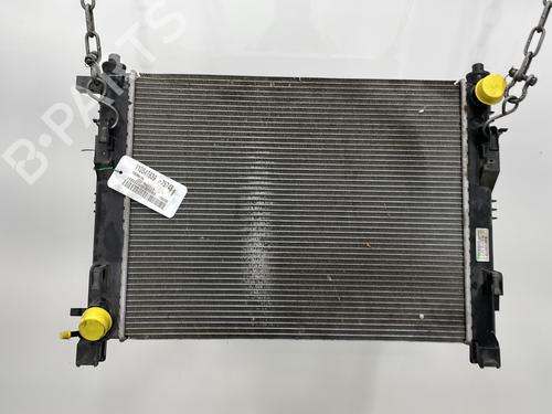 Water radiator DACIA LODGY (JS_) 1.5 dCi (JSMC, JSAF) | BP28211771M31  - Image 5