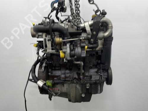 Engine NISSAN MICRA III (K12) 1.5 dCi | BP28591183M1