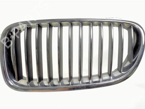 Used Grille BMW 5 Touring (F11) 525 d (204 hp) 21236108
