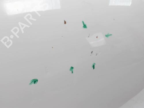 Hood ROVER 100 / METRO Hatchback (XP) 111 C/L/S | BP20460351C1 
