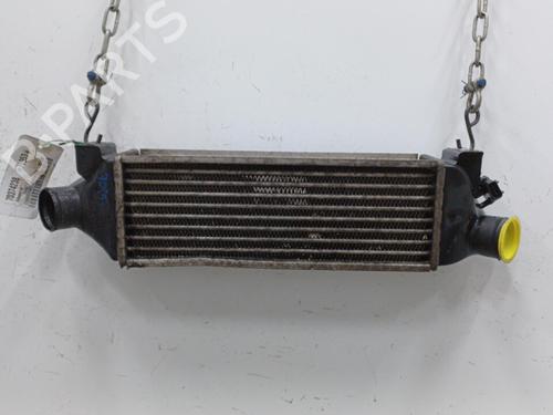 Used Intercooler Intercooler FORD TRANSIT Van (FA_ _) 2.0 DI (FAE_, FAF_, FAG_) (100 hp) 20446609 20446609
