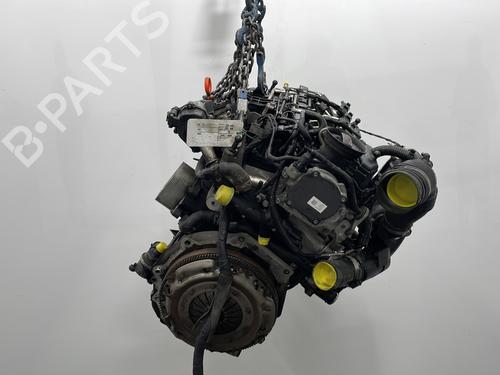 Engine SEAT IBIZA IV (6J5, 6P1) 1.6 TDI | BP29638768M1 