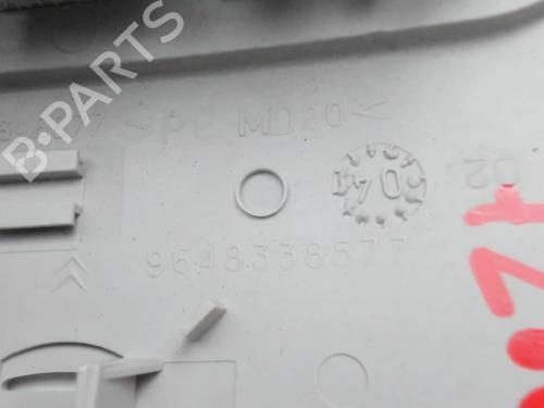 Interior roof light PEUGEOT 407 (6D_) 2.0 HDi 135 (6DRHRH, 6DRHRE, 6DRHRG, 6DRHRJ) | BP20387094I8 