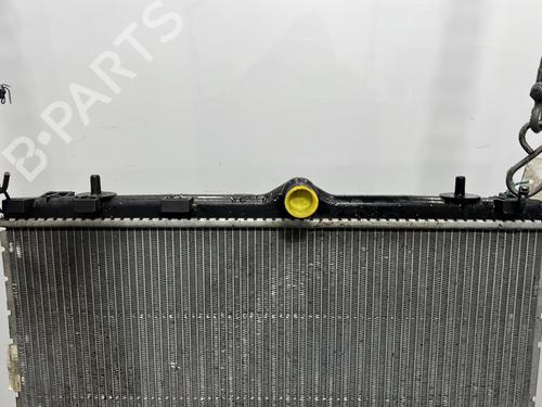 Used Water radiator Water radiator PEUGEOT 2008 II (UD_, US_, UY_, UJ_, UR_, UC_) 1.2 PureTech 100 (USHNK) (101 hp) 32182922 32182922