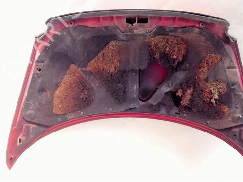 Hood FIAT MULTIPLA (186_) 1.9 JTD 105 (186AXB1A) | BP22102206C1 