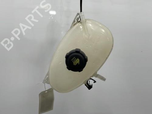 Expansion tank RENAULT TWINGO III (BCM_, BCA_) 0.9 TCe 90 (BCM9, BCM2) | BP20393801C120 