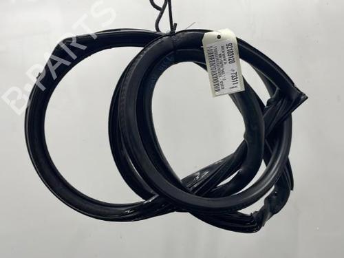 Rubber door seal MINI MINI (R50, R53) Cooper | BP20388707C142 