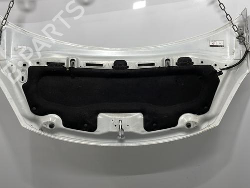 hood-citroen-c3-ii-sc_-2009-31679249 main image
