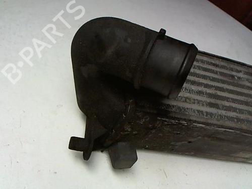 Intercooler LANCIA KAPPA (838_) 2.4 T.DS (838AE1AA, 838AH1AA) | BP21234000M30 