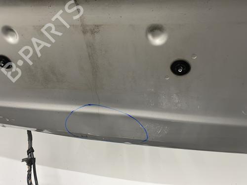 Tailgate OPEL ZAFIRA / ZAFIRA FAMILY B (A05) 1.9 CDTI (M75) | BP24810207C6 