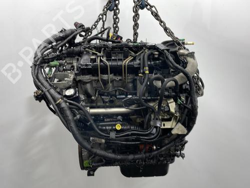 Engine FORD FOCUS C-MAX (DM2) 1.6 TDCi | BP29625303M1 