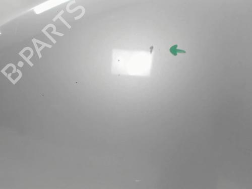 Hood NISSAN X-TRAIL I (T30) 2.2 dCi 4x4 | BP20403087C1 